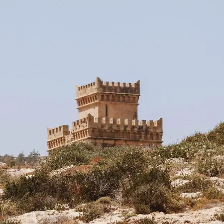 R Lapsi Siġġiewi